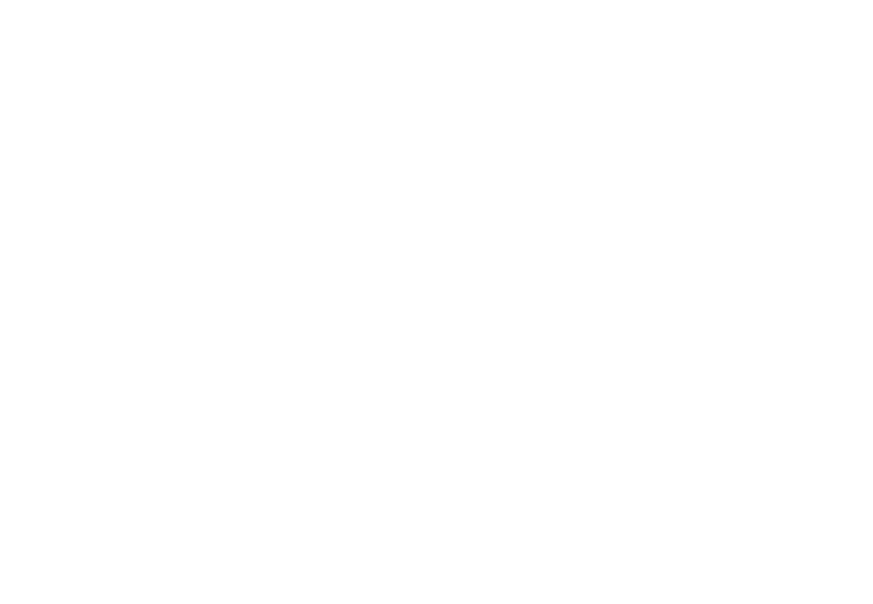 عميل 19