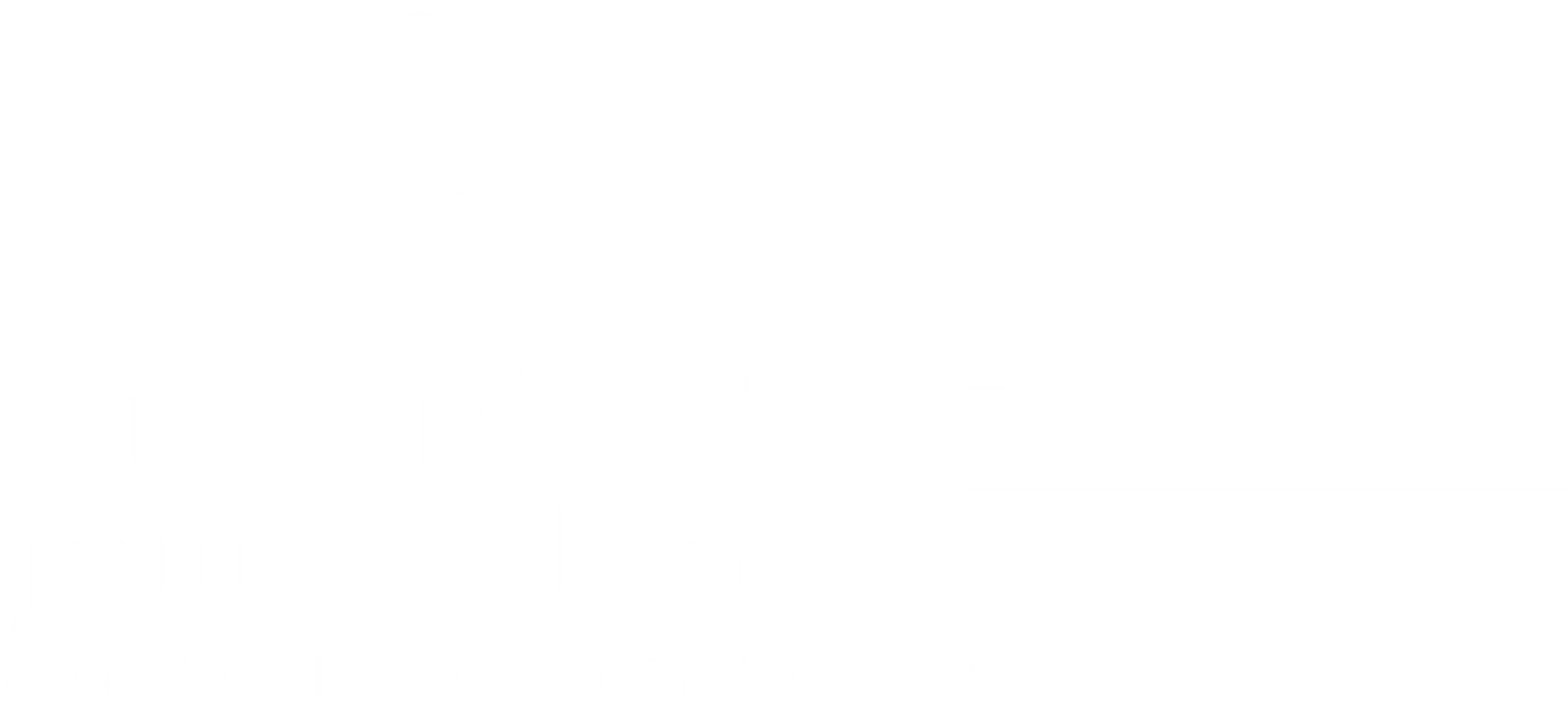عميل 6